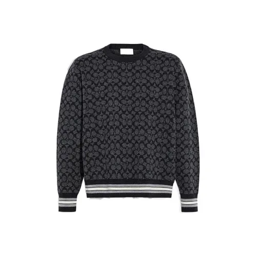 COACH FW22 Sweater Men's Color Carbon Gray