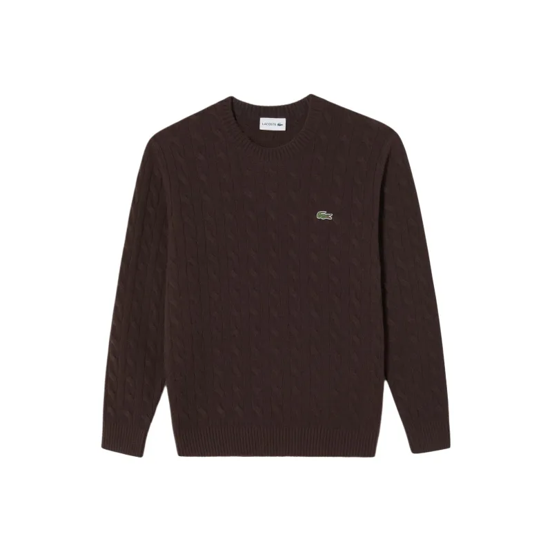 LACOSTE Sweaters Men Brown-0