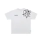 White Gray