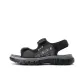 Black Gray