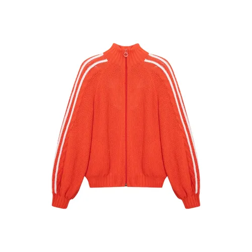 GUCCI X Adidas Zip Jacket