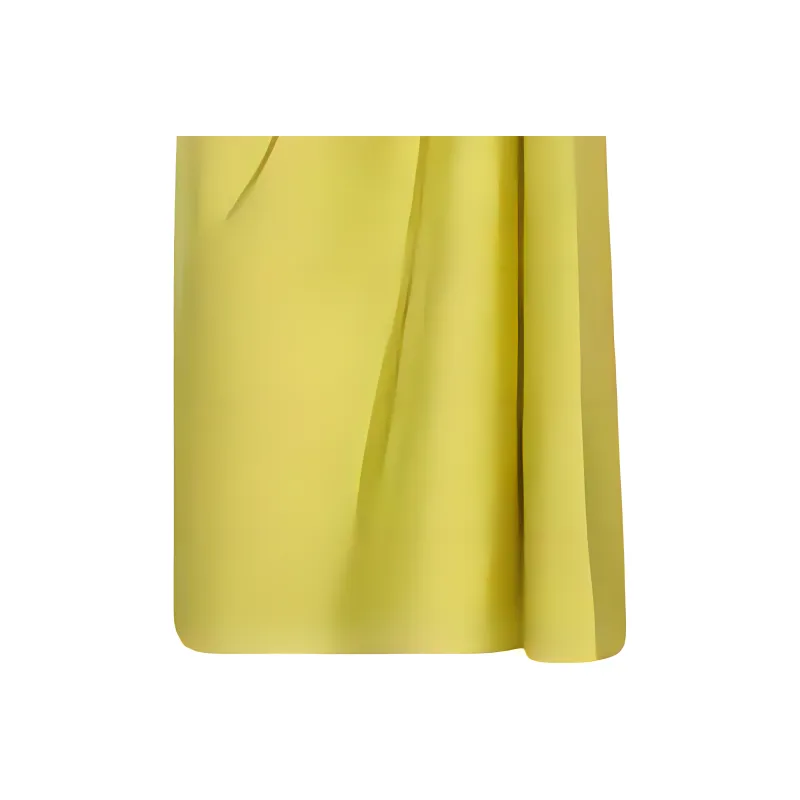 DIOR Casual Long Skirts Women's Yellow-2