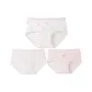 Fresh Pink Strawberry-Original White Plaid Strawberry-Original White Plaid Strawberry (3 Pack)