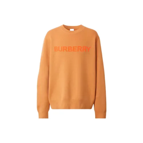 Burberry FW22 Sweater Men's Orange