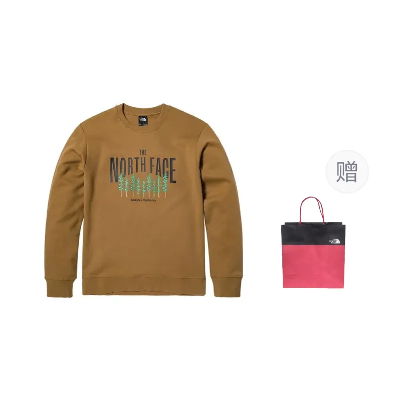 THE NORTH FACE Sweatshirt Men's Brown-0