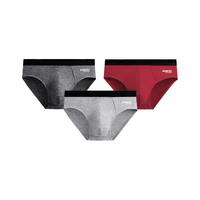 David Bakken Underpants Men's 3 Pack-0