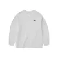 Antarctic Gray