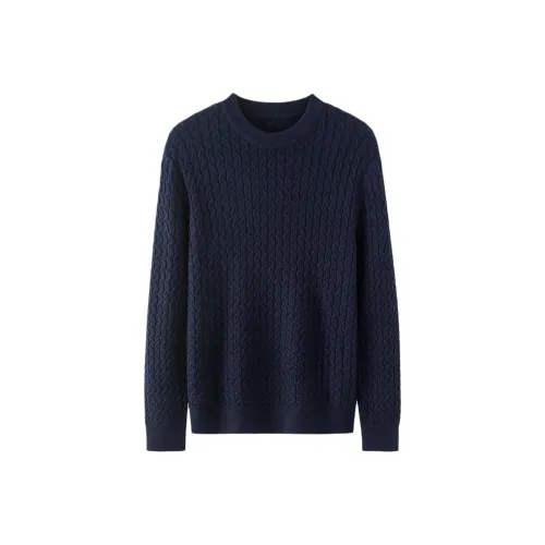 BY CREATIONS Sweater Men's Navy Blue
