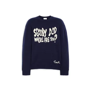 COACH Cashmere Sweaters Men Dark Blue