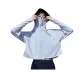 Light Silver Gray