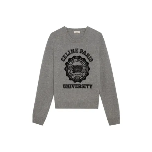 CELINE FW21 Knitwear Men's Gray