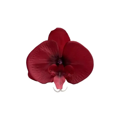 Specialoutlook Alloy Hair Clips Women's
