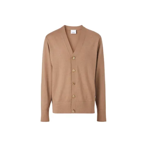 Burberry SS22 Sweater Men's Camel