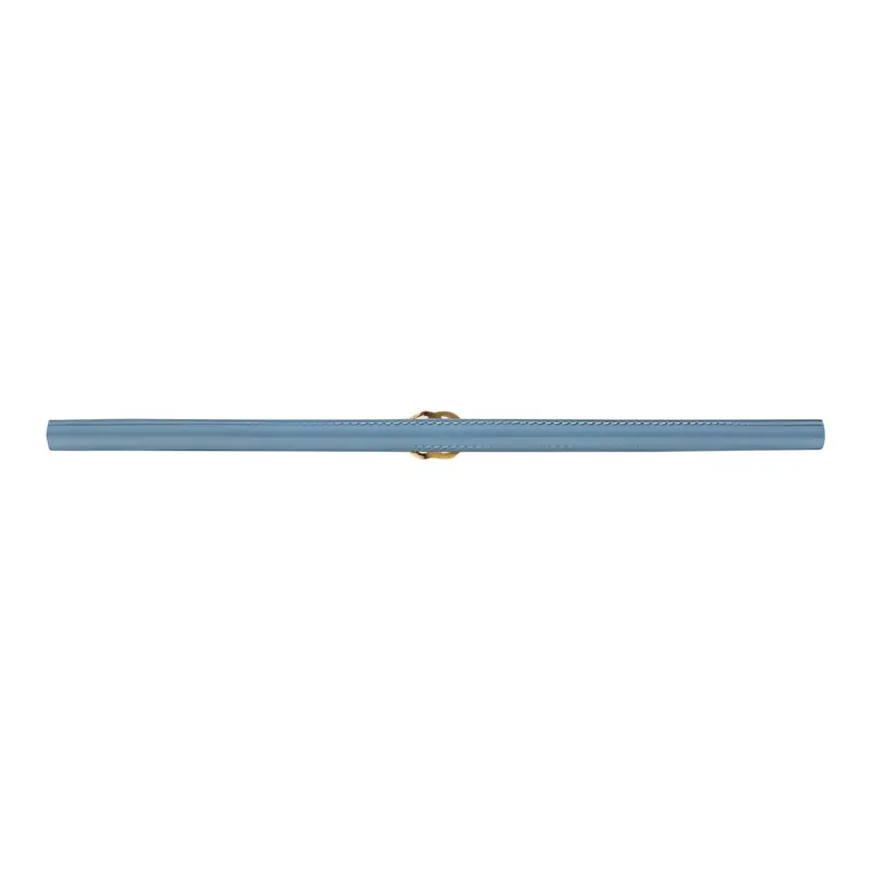 GUCCI Leather Belts Women's Light Blue-1