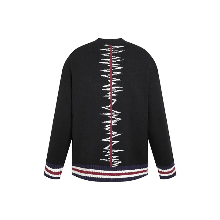 LIUREGALI Sweaters Unisex Black-0