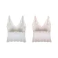 Pink, Champagne White