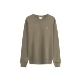 PAV-Earth Brown
