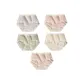 5-Pack[Blue+Nude Pink+Green+White+Lotus Root Powders]