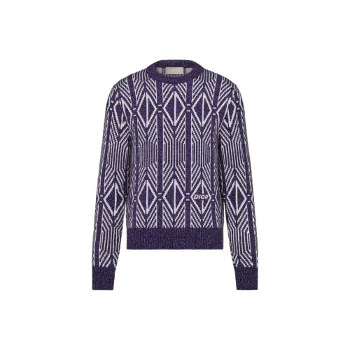 DIOR Sweaters Men Purple