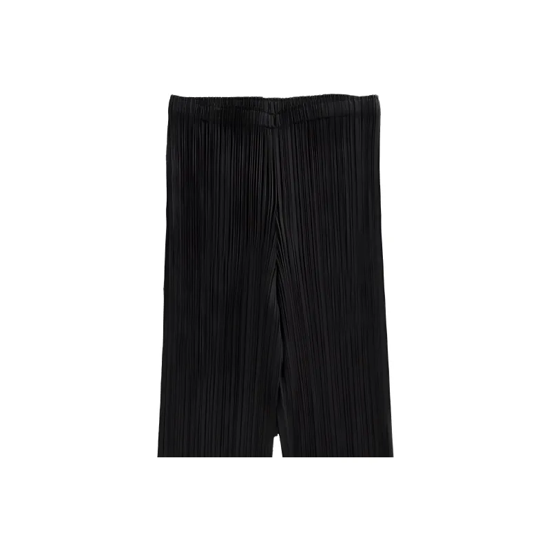 PLEATS PLEASE ISSEY MIYAKE Basics Pants 'Black'-2