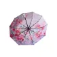 Three-Fold Fully Automatic 10 Bone-Mist Rose