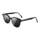 Black Frame with Black Gray Lens
