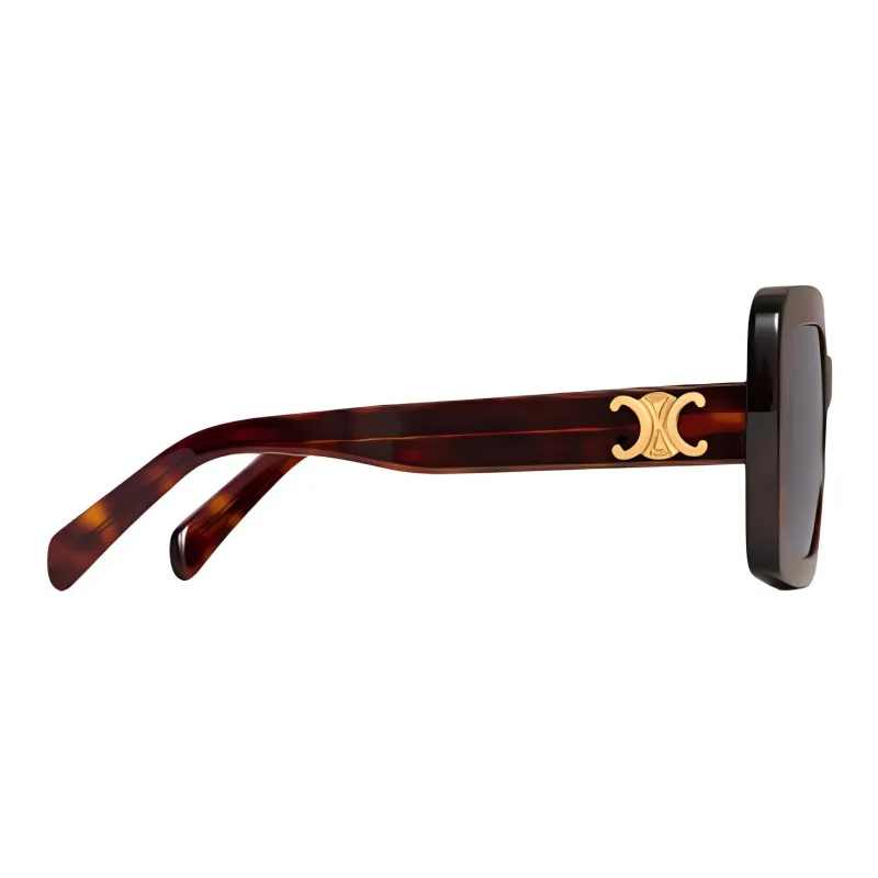 CELINE Triomphe 13 Sunglasses In Acetate-2