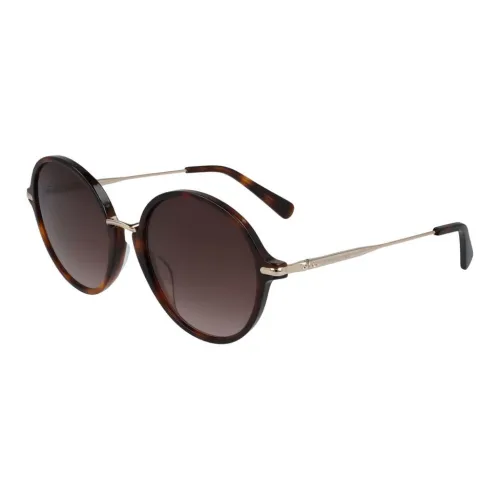 CELINE Acetate Irregular Shape Sunglasses Mens Tortoiseshell