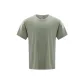 Light Gray Green