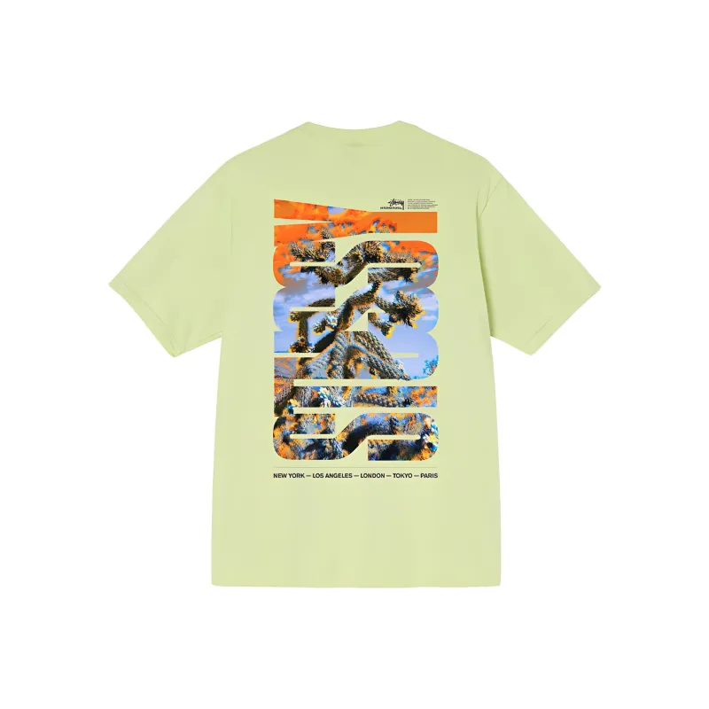 Stussy Desert Sky Tee-8
