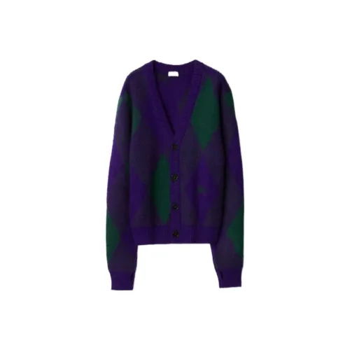 Burberry FW23 Knitwear Men's Royal Purple