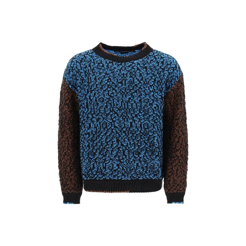 ANDERSSON BELL Intarsia knit Crew neck Sweatshirt-0