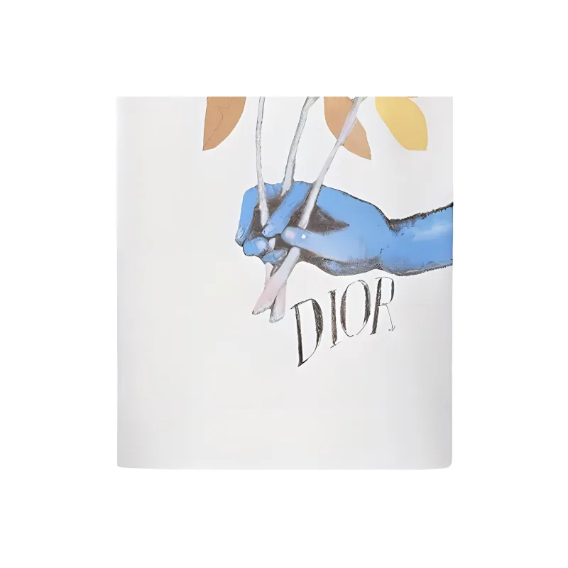 DIOR And Alex Foxton Printing Short Sleeve T-shirt White-4