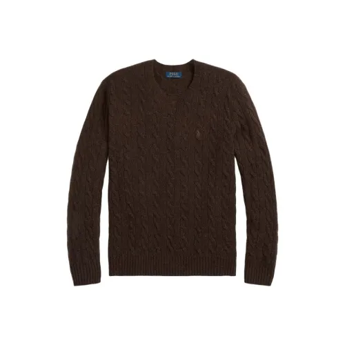 Polo Ralph Lauren Sweaters Men Brown
