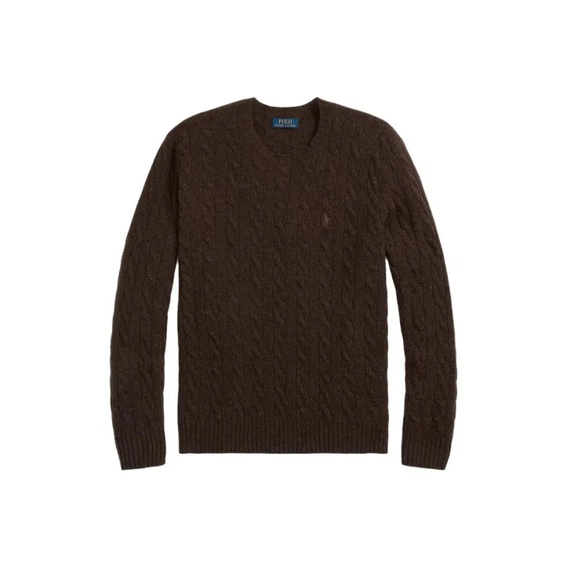 Polo Ralph Lauren Sweaters Men Brown-0