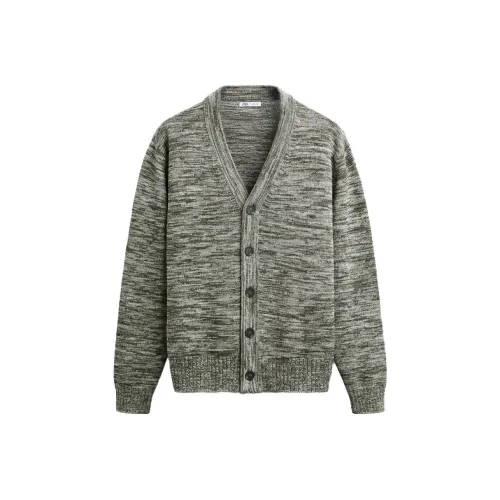 ZARA Knitwear Men's Zebra Print Green