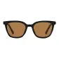 Black Frame with Tea Brown Lens