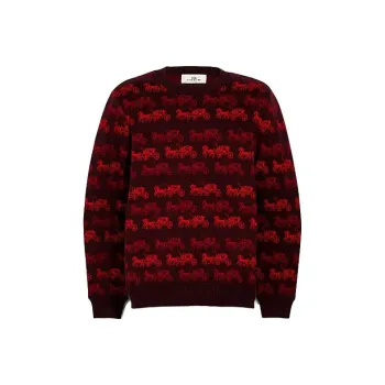 COACH Sweaters Men Umber Red