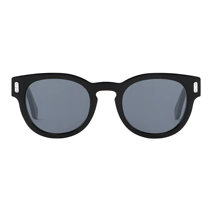 LOUIS VUITTON Acetate Metal Parts Round Sunglasses Men's Black-0