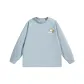 Ice Blue Gray