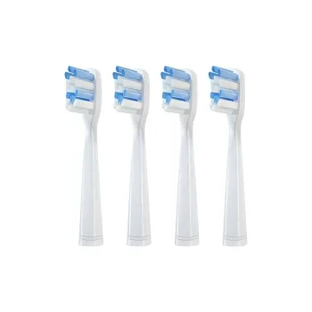 Fly Toothbrush Heads