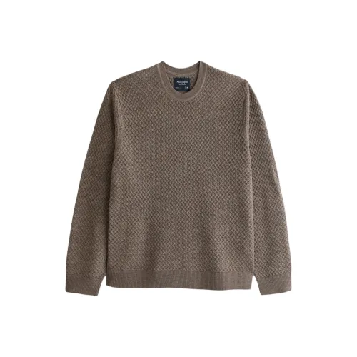 Abercrombie＆Fitch Sweaters Men Brown