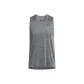 Rhinoceros Gray