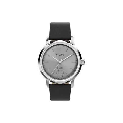 TIMEX Men Watch