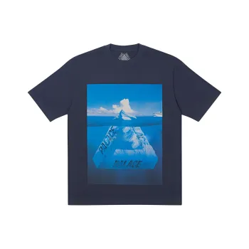 PALACE Berg Ferg T shirt