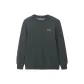 Green Gray 81