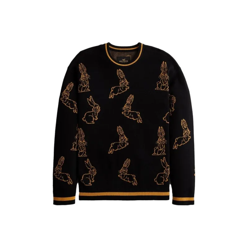 Hollister Knitwear Men Black Print-0
