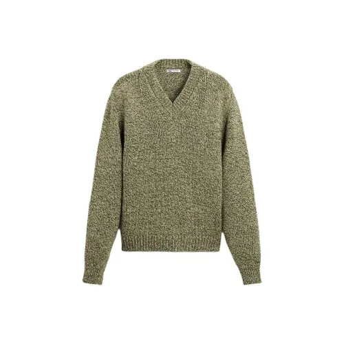 ZARA Sweater Men's Zebra Print Green