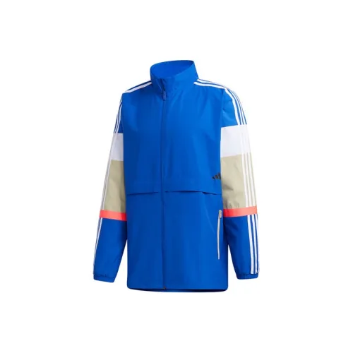 Roses Retro Sports Multicolor Stripes Stand Collar Jacket Men's Royal Blue