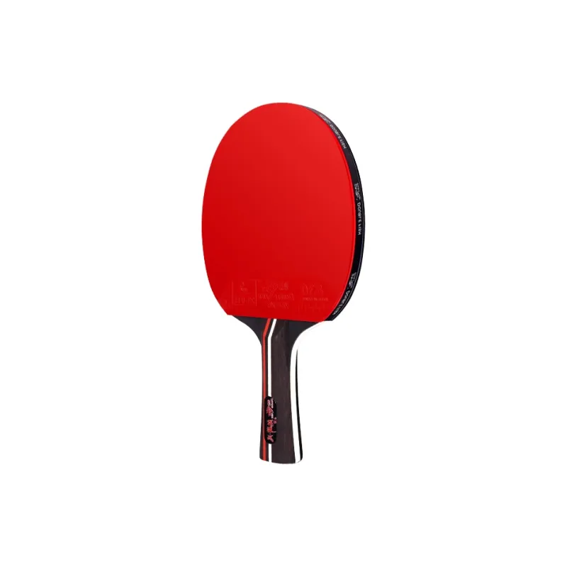 DOUBLE FISH Ping Pong Paddles-1